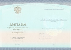 Диплом колледжа с 2014 по 2024 годы