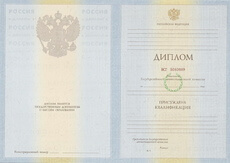 Диплом специалиста с 2010 по 2011 годы